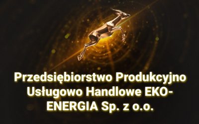 Gazele Biznesu 2025 dla Eko-Energia!
