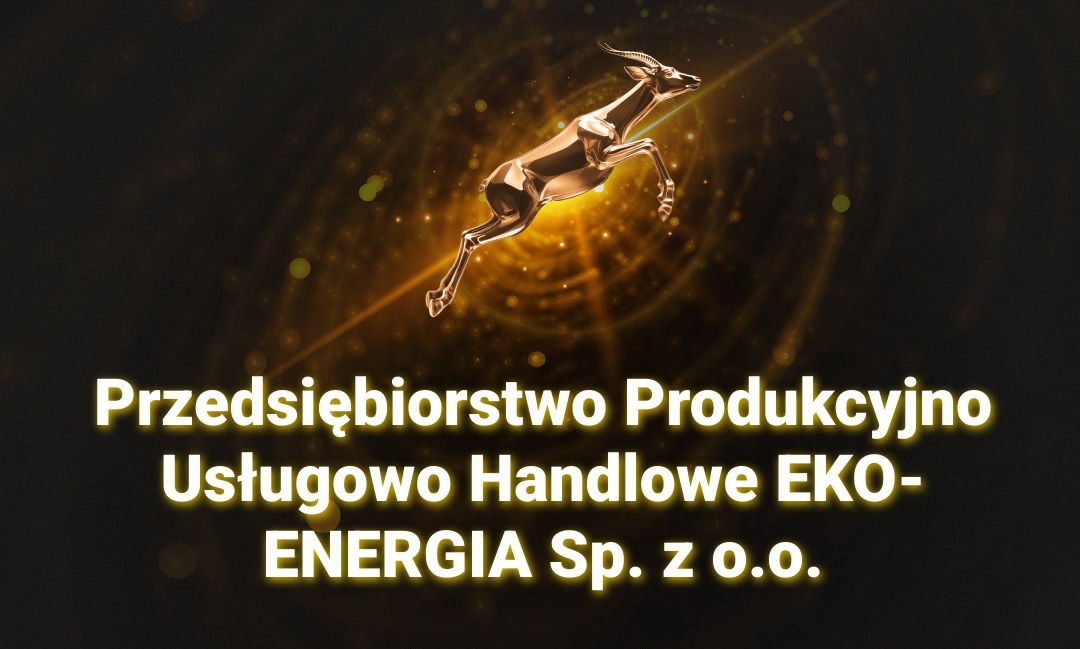 Gazele Biznesu 2025 dla Eko-Energia!